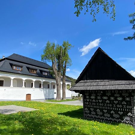 Kastiel Cicmany Hotel Kültér fotó