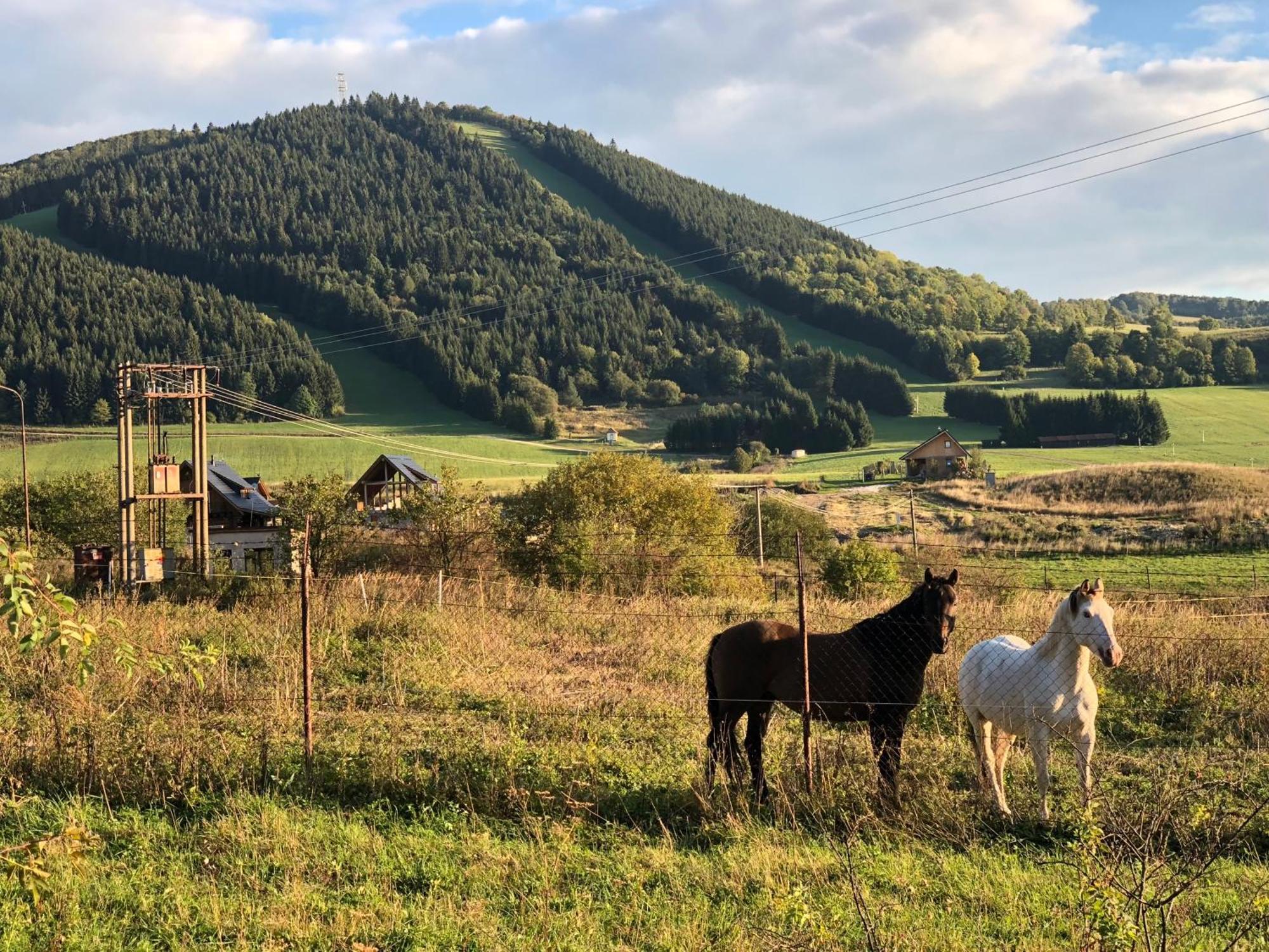 Kastiel Cicmany Hotel Kültér fotó